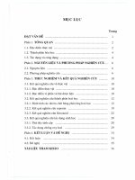 Nghiên cứu đặc điểm thực vật, thành phần hóa học và một số tác dụng sinh học của cây rung rúc lá to