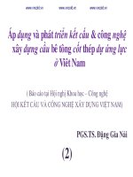 Áp dụng và phát triển kết cấu  công nghệ xây dựng cầu bê tông cốt thép dự ứng lực ở Việt Nam