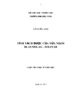 Tính cách được của nửa nhóm Blauumslag Solitar