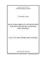 Quản lý hoạt động của tổ chuyên môn ở trường THPT huyện tam dương tỉnh vĩnh phúc