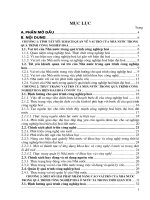 Vai trò của nhà nước đối với quá trình CNH hđh ở việt nam 