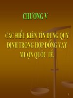 Bài giảng thanh toán quốc tế chương v các điều kiện tín dụng quy định trong hđ vay mượn QT 