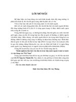 Kinh nghiệm thu hút vốn đầu tư trực tiếp nước ngoài ở một số nước và vận dụng vào việt nam 