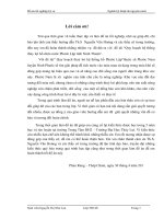 thiết kế qui hoạch hệ thống tưới hồ phước lập