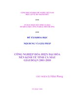CÔNG NGHIỆP HÓA HIỆN ĐẠI HÓA NỀN KINH TẾTỈNH CÀ MAU GIAI ĐOẠN 20012010