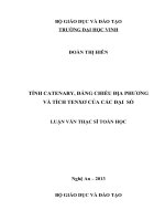 Tính Catenary, đẳng chiều địa phương và tích Tenxo của các đại số