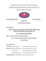 THỰC TRẠNG HOẠT ĐỘNG hỗ TRỢ TRẺ KHIẾM THỊ TRƯỚC KHI đi học hòa NHẬP tại các TRƯỜNG PHỔ THÔNG 