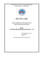 Bài tiểu luận hai mươi năm quan hệ ngoại giao việt   mĩ