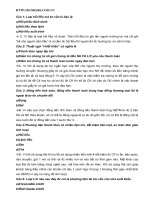 Trắc nghiệm thanh toán quốc tế 