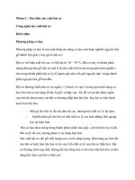 Sản xuất bột giấy cụ thể Bột Cơ