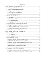 Hướng dẫn sử dụng Mike 11