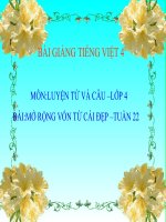 Bài giảng tiếng việt 4 tuần 22 bài mở rộng vốn từ cái đẹp 