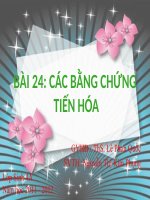 giáo án bài 24 các bằng chứng tiến hóa