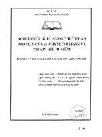 Nghiên cứu khả năng thủy phân protein của alpha chymotrypsin và papain khi bị viêm