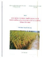 xây dựng và phát triển mạng lưới nhân giống lúa và cung cấp lúa giống tỉnh cần thơ