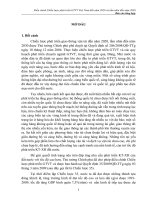 Điều chỉnh chiến lược phát triển giao thông vận tải việt nam đến năm 2020 và tầm nhìn đến năm 2030