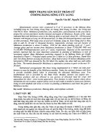 hiện trạng sản xuất tràm cừ ở đồng bằng sông cửu long