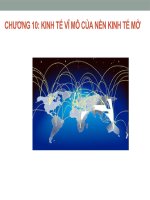 Kinh tế vĩ mô cô quỳnh chương 10  kinh tế vĩ mô của nền kinh tế mở 