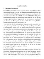 Ứng dụng sóng siêu âm để nâng cao hiệu quả quá trình thủy phân tinh bột khoai mì (Manihot esculenta crantz)