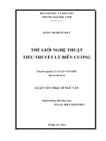 Thế giới nghệ thuật tiểu thuyết Lý Biên Cương