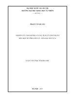 Nghiên cứu ảnh hưởng của sự tích luỹ phytolith đến một số tính chất lý – hoá học đất lúa 