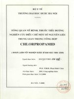 Tổng quan về bệnh, thuốc tiểu đường nghiên cứu điều chế một số nguyên liệu trung gian trong tổng hợp Chlorpropamid