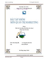 Phân tích hoat động marketing của công ty dutch lady việt nam