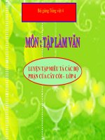 Bài giảng tiếng việt 4 tuần 22 bài luyện tập miêu tả các bộ phận của cây cối 