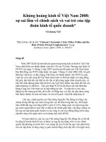 khủng hoảng kinh tế việt nam 2008 sự sai lầm về chính sách