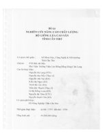 Nghiên cứu nâng cao chất lượng bộ giuống lúa cao sản tỉnh cần thơ