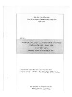 nghiên cứu đạo cao đài tỉnh cần thơ nhằm đổi mới công tác cao đài  vận trong tình hình hiện nay