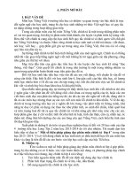 Sáng kiến kinh nghiêm chính tả lớp 4