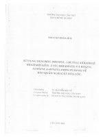 sử dụng benomyl ( methyl1 butylcarbamoyl benzimizol22ylcarbamate) và benzyl adenine ( 6benzylaminopurine) để bảo quản xoài cát hòa lộc