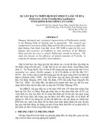sự gây hại và thiên địch ký sinh của sâu vẽ bùa phyllocnistis citrella (gracillariidaelepidoptera) vùng đồng bằng sông cửu long