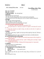 GA văn 6 chuẩn có KNS