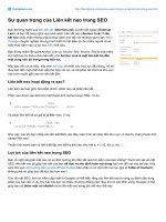 liên kết neo trong SEO