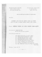 Nghiên cứu về các bệnh vàng lá trên cây có mùi ở đồng bằng sông cửu long