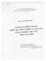 đánh giá hiện trạng thiết bị công nghệ các ngành công nghệ chủ yếu tỉnh cần thơ