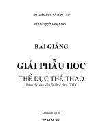 Giải phẫu học TDTT