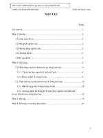 Tiểu luận vật lý thống kê: áp dụng hàm phân bố Fermi Dirac cho khí electron tự do trong kim loại