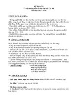 Kế hoạch hướng dẫn tổ chức đại hội chi đội