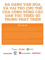 Đa dạng văn hóa và vai trò chủ thể của cộng đồng các dân tộc thiểu số trong phát triển 