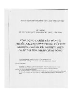 ựng dụng laser bán dẫn và thuốc naltrexone trong cắt cơn nghiện chống tái nghiện biện pháp tái hào nhập cộng đồng