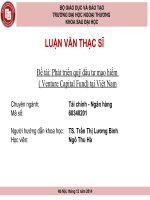 Phát triển quỹ đầu tư mạo hiểm  ( Venture Capital Fund) tại Việt Nam