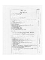 hiện trạng sử dụng và nhu cầu đào tạo nhân lực có trình độ từ trung cấp lên ở tỉnh cần thơ đến năm 2010