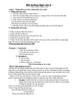 Bồi dưỡng học sinh giỏi ngữ văn 6