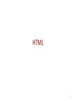 Lập trình HTML cơ bản đến nâng cao html