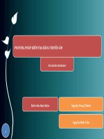 Đo và kiểm tra bằng phương pháp truyền âm