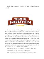 Phân tích hoạt động Maketing Xanh tại công ty cổ phần Trung Nguyên