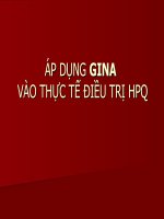 Áp dụng GINA vào thực tế điều trị HPQ